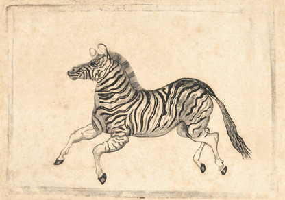 Zebra banknote vignette from A.B.C Durand and Co.